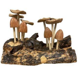 Ten mushrooms - grooved caps on root base